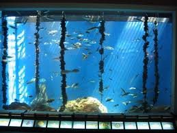 aquarium de La Coruña